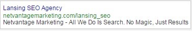 Lansing SEO Ad Standard