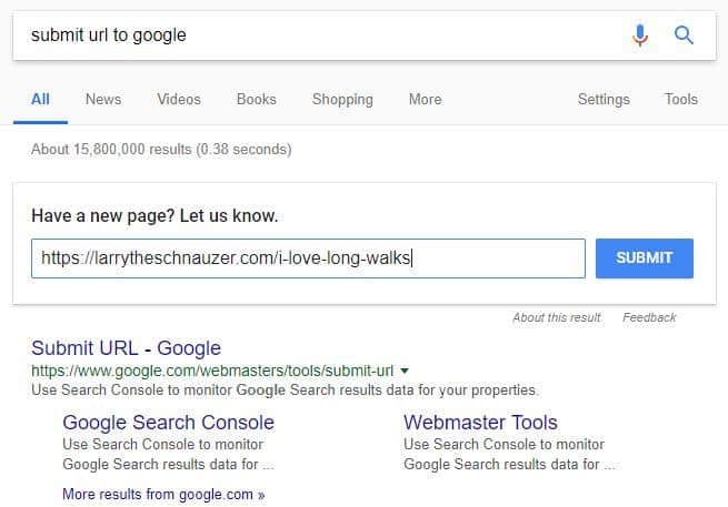 submit url to google